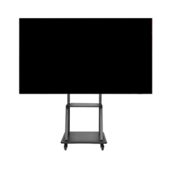 udlejning af 100" fladskærm