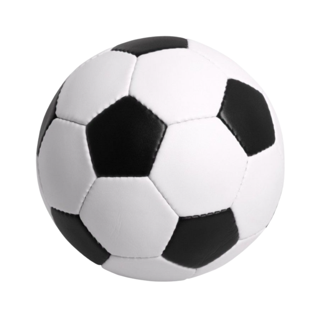 udlejning af fodbolde